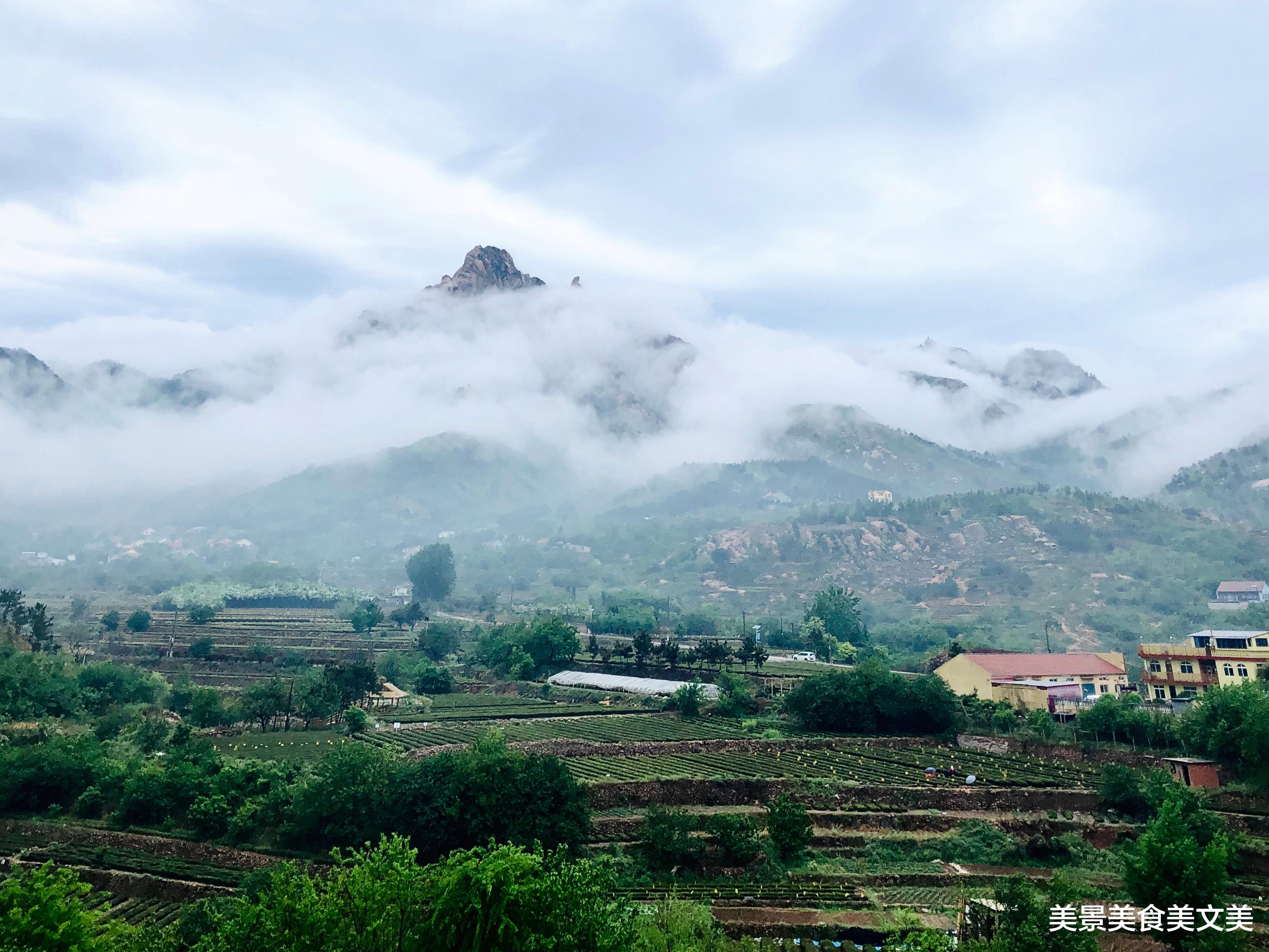 青岛市|青岛最美地铁线：红瓦绿树，碧海蓝天，幸福