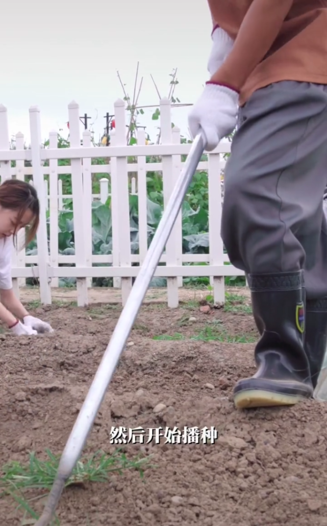 常征|40岁王宝强下农田干活,穿着邋遢满脸憔悴,妻子冯清一旁帮忙