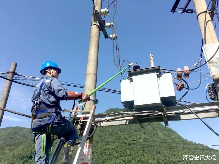 2020年,浙江小伙捡到1只奇怪甲虫,两天后网友出价31万都不肯卖