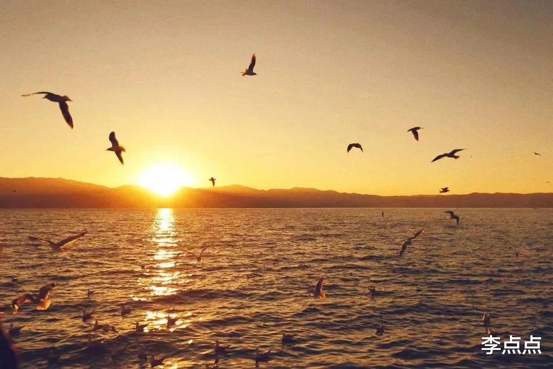 湿地公园|期待了一年半的云南旅行，我有5点夸奖1个遗憾
