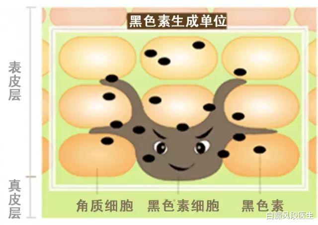 维生素C|维生素C会不会加重白癜风，白癜风患者每天究竟要补充多少维生素C？