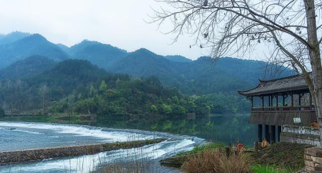 荷花|浙江有3座“不起眼”的小城,悠闲慢节奏,择一城终老,你会去哪