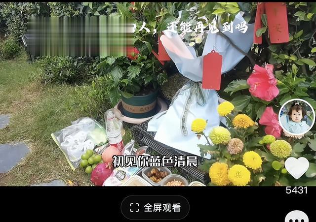 杭州坠楼女童一家现状:妈妈对着女儿墓碑痛哭,患癌外婆放弃治疗