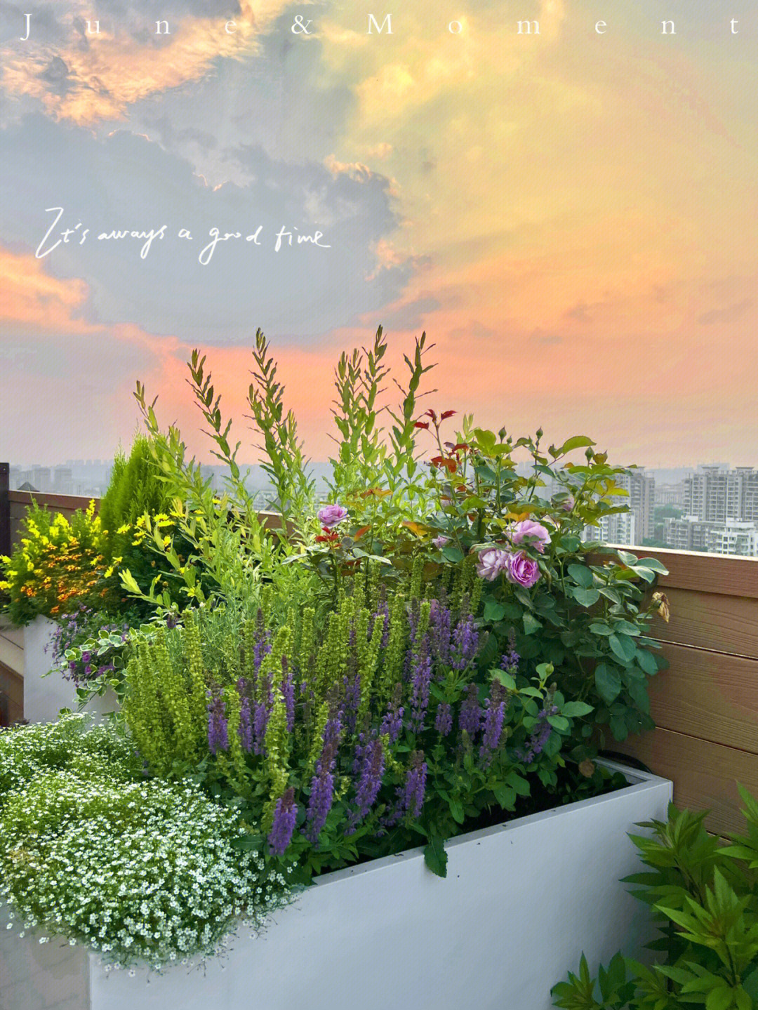 为了一个露台,买了栋顶楼的房子,建个“空中花园”,太美了!