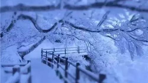 爱彼迎|冬天的尧山洁白且艳丽，是浪漫的的童话世界(原创）