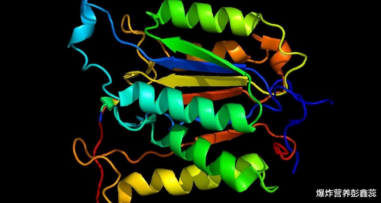 蛋白质|不同年龄的人,想要补充优质蛋白质,这4种食物是最佳选择