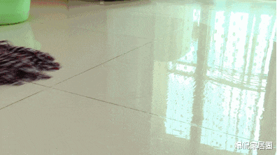 为什么刚拖完的地，总是有“水渍”？80后老阿姨支招：干净不留痕