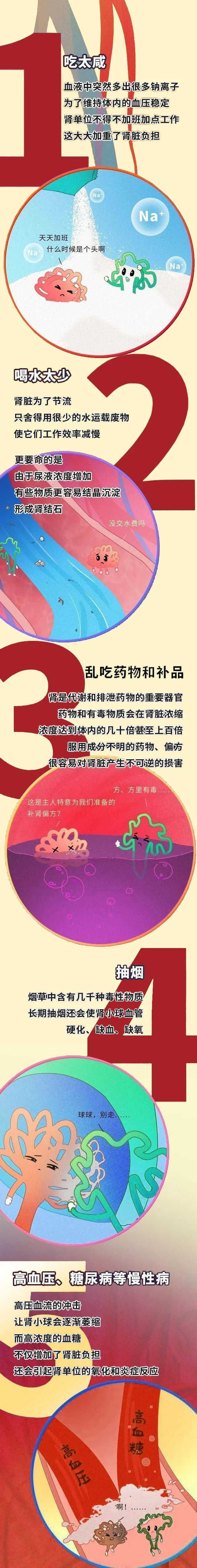 西地那非|透支的肾，是补不回来的！请好好呵护