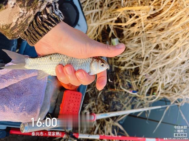 |长杆找鱼,谁知鱼儿就在跟前