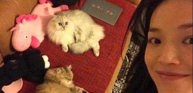 林心如|舒淇现身高铁悄悄返台，与林心如玩自拍惊喜合体