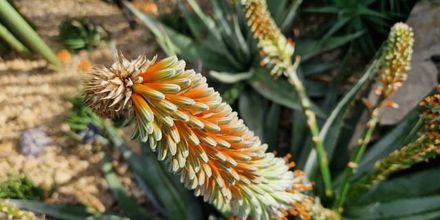 三星|三星GalaxyS22+评测：很优秀，但有两个缺点