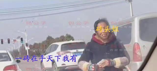 回顾:河南郸城“砖头姐”,靠拦车讨钱养活8个孩子盖2栋楼