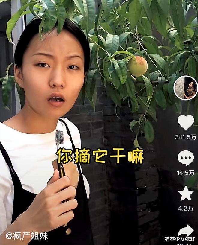 李子柒|千万粉丝级顶流网红散伙，一年没了2642万