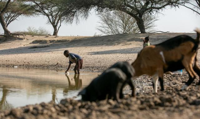 为什么动物可以喝浑浊的脏水，而人类的水必须是干净的？