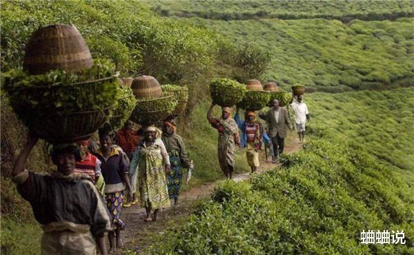 免签|世界最“开放”的国家，对全世界免签，游客：倒贴钱也不去！