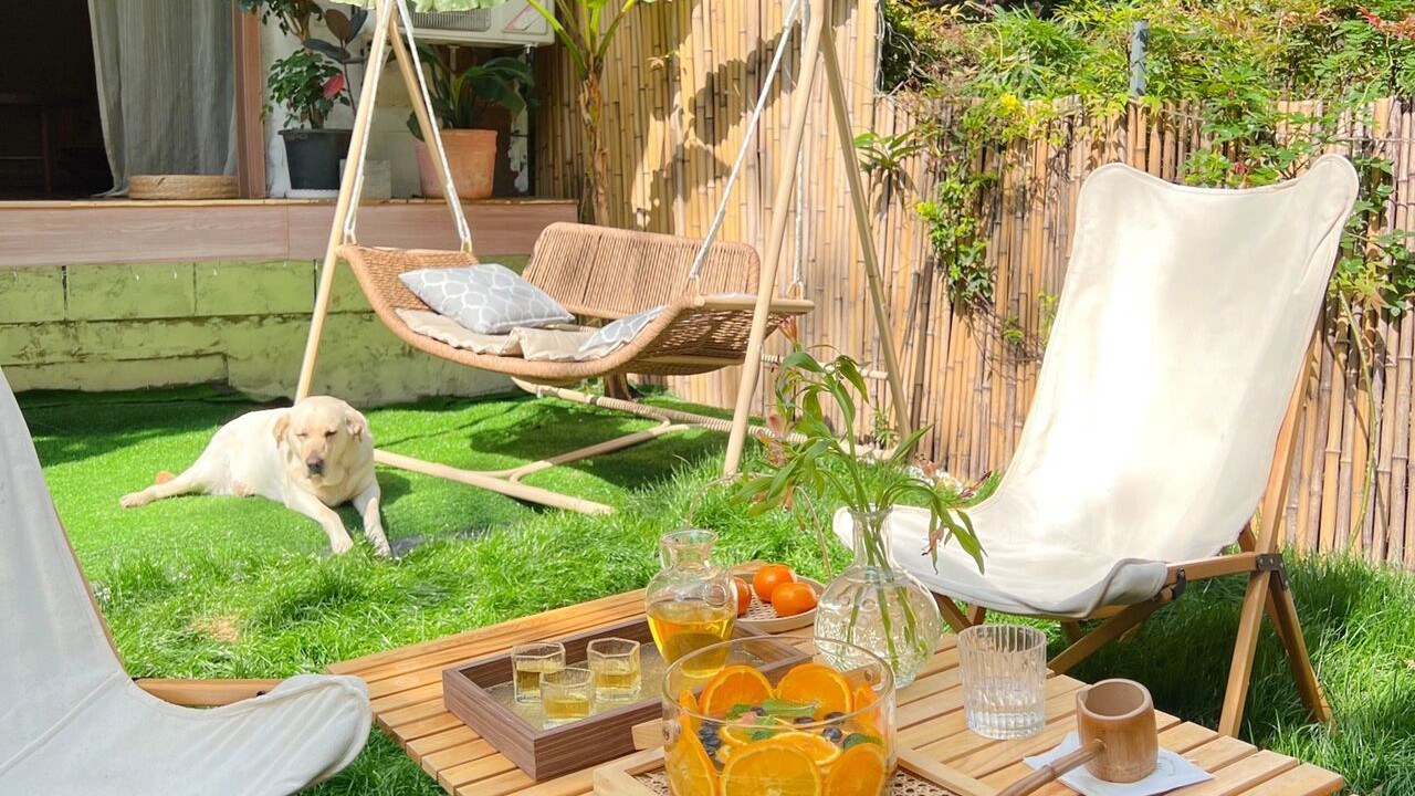 绣球花|?在市中心，买了个一楼老破小院，历时3个月改造，变身成漂亮的花园