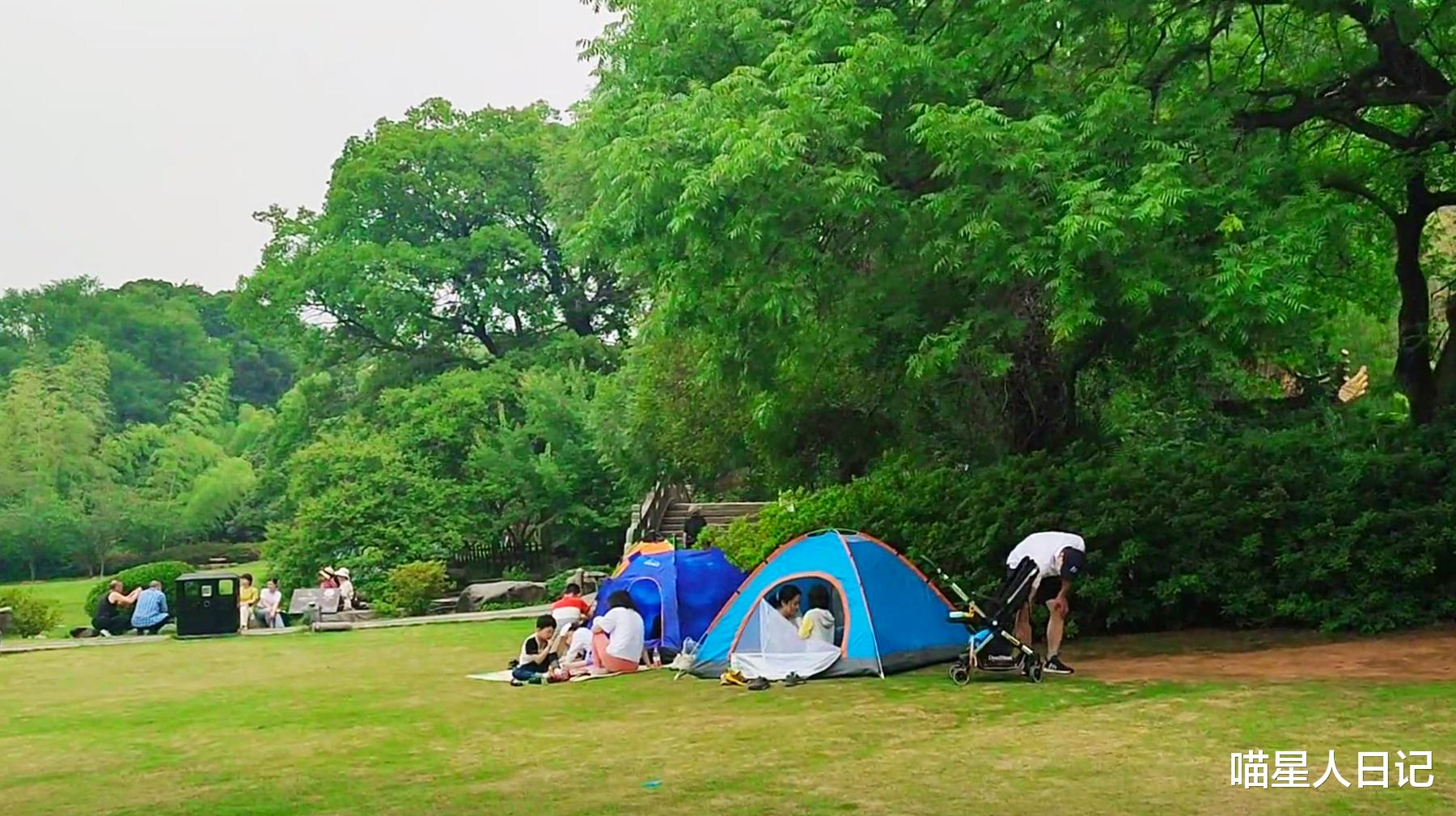 大观园|游逛武汉城区东湖磨山一角，随处可见小桥流水，还有宽阔的大草坪