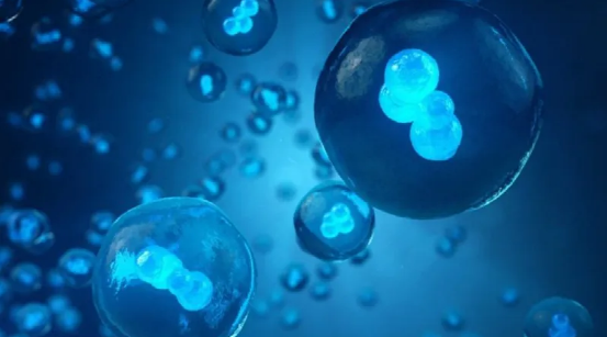 马氏盛族:干细胞是自体的好还是异体的好?