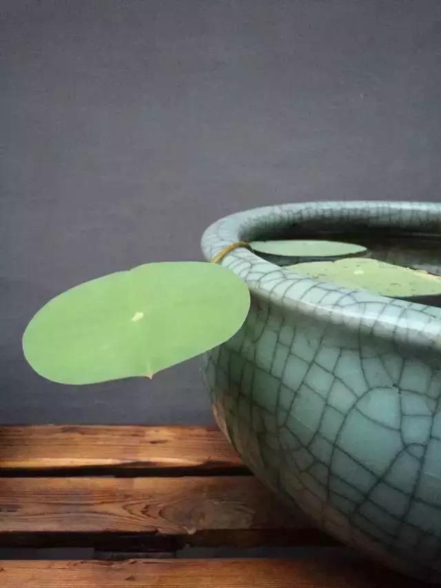 惊艳！美女仅花3500块，打造的出租屋竟媲美咖啡厅！