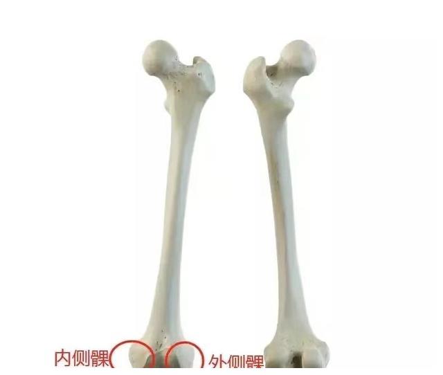 杨超越|杨超越红毯秀长腿身材火辣，膝盖内侧鼓包腿不直？5步轻松练