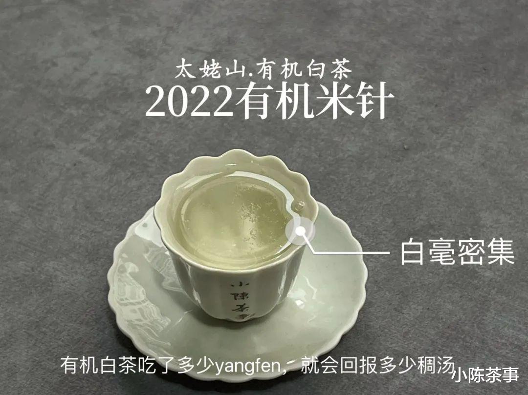 牙齿|盖碗泡白毫银针，投入多少茶叶才算合适？3克、5克，还是8克？