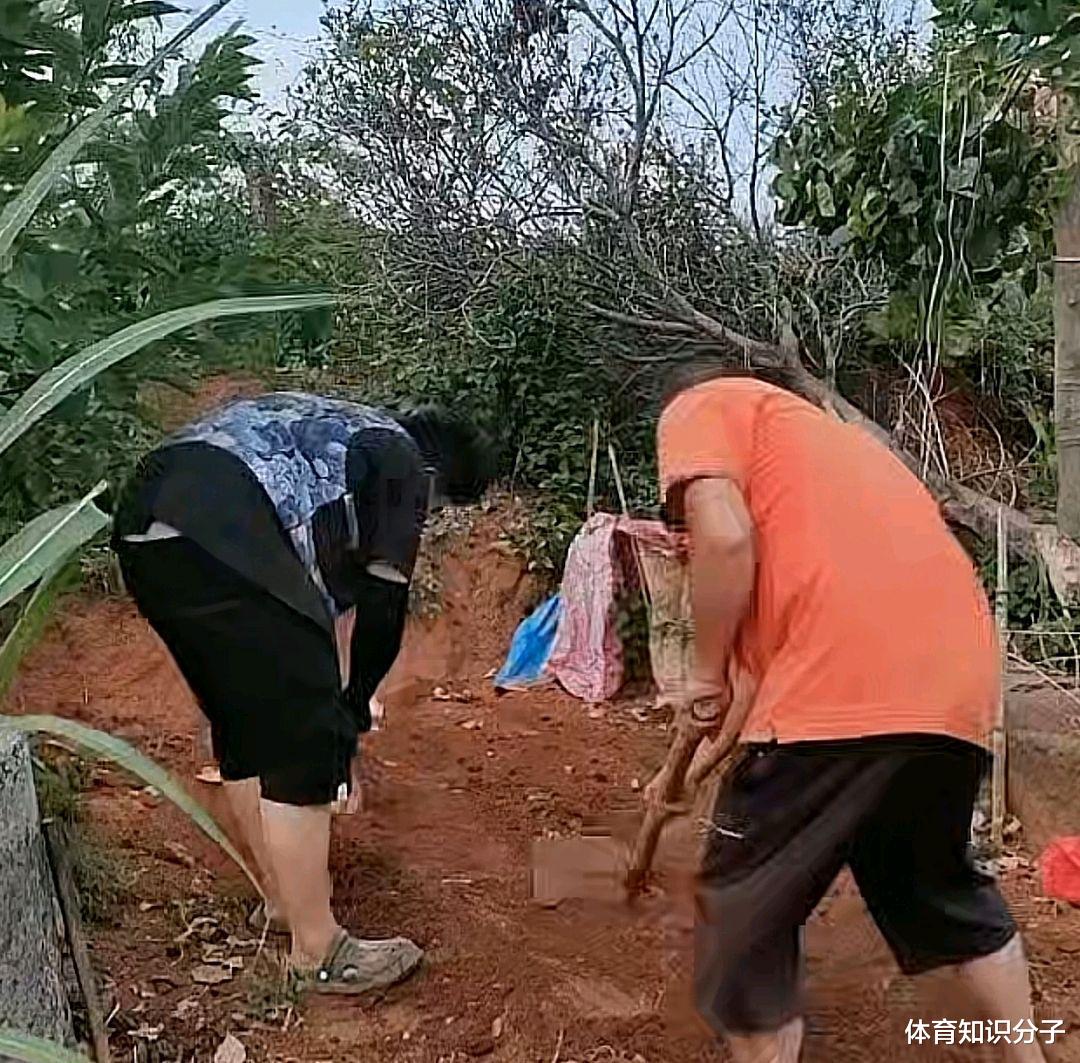 在线直播干农活!全红婵哥哥爸爸刨地种菜,网友:流量玩明白了