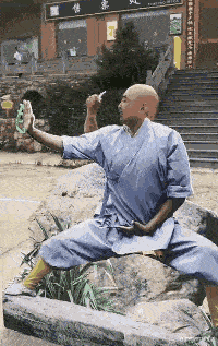 “发现一只与众不同的苍蝇,这是变异了吗?”答案万万没想到啊!