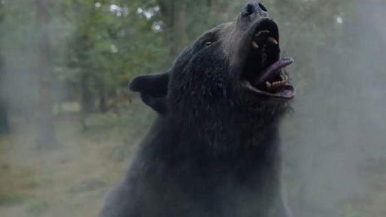 黑熊食用大量毒品死亡，尸体被制成标本供人观赏，故事被拍成电影