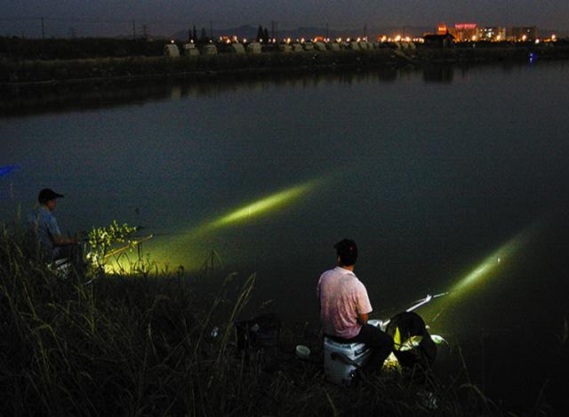 空军|如何正确夜钓?能够掌握这几个要点,让你不在“空军”