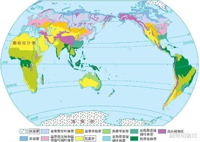 将全球的沙漠都变成森林,会发生什么事?