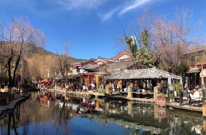 红叶谷|束河古镇,初春的时候,桥下的柳树含苞待放