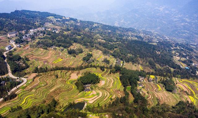 海岛|四面山景区的特色是哪些？千瀑、生物王国、红石、先巴文化，都有