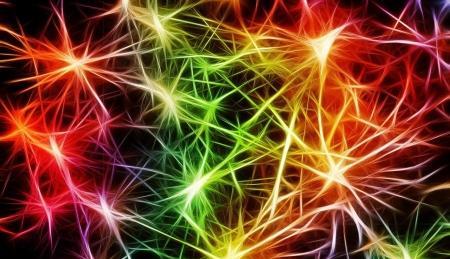 大脑深处有细胞在盖时间戳——研究者们正在解开记忆的“时间”之谜
