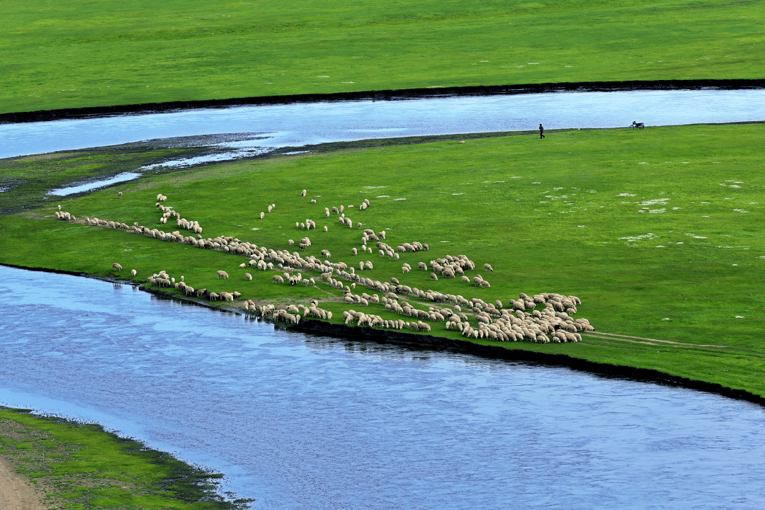 草原|作为游客的您,来草原旅游最担心的是什么?最关心的是什么?