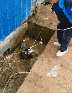 “刚租的房子，打扫柜子发现的，我是不是发财了？”急需鉴定啊！