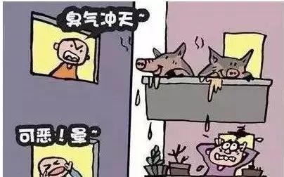 绝对不能做|业主们,房是你的,这10件事别做