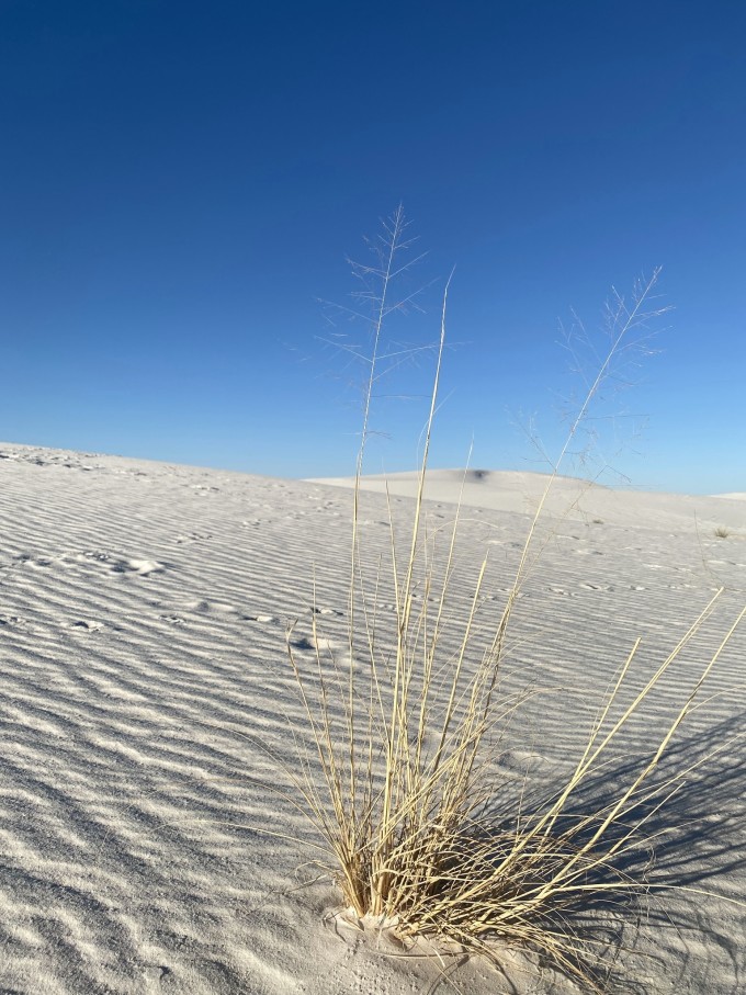 国家公园|新墨西哥州 - 不要错过的一片魅力之地