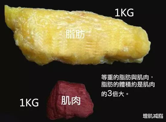健身 了解几个减肥基础常识，搞不懂，很难真正瘦下来！