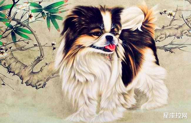 生肖|三大生肖有人精的头脑，赚钱无压力，生活不受累，富裕连连