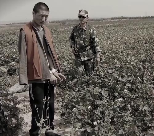 2008年新疆一死刑犯为戴罪立功,被枪决前揭发重案,后来怎么样了