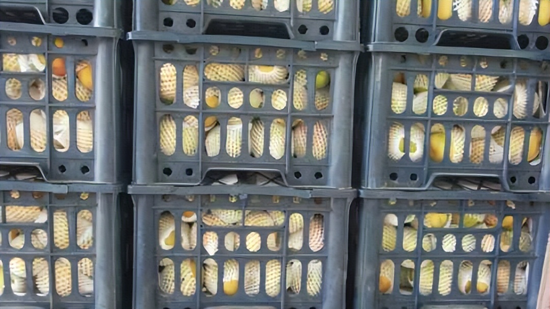 晒晒农村婚房,土灶和火炕太赞了!超喜欢院子里5米长的大吊灯!