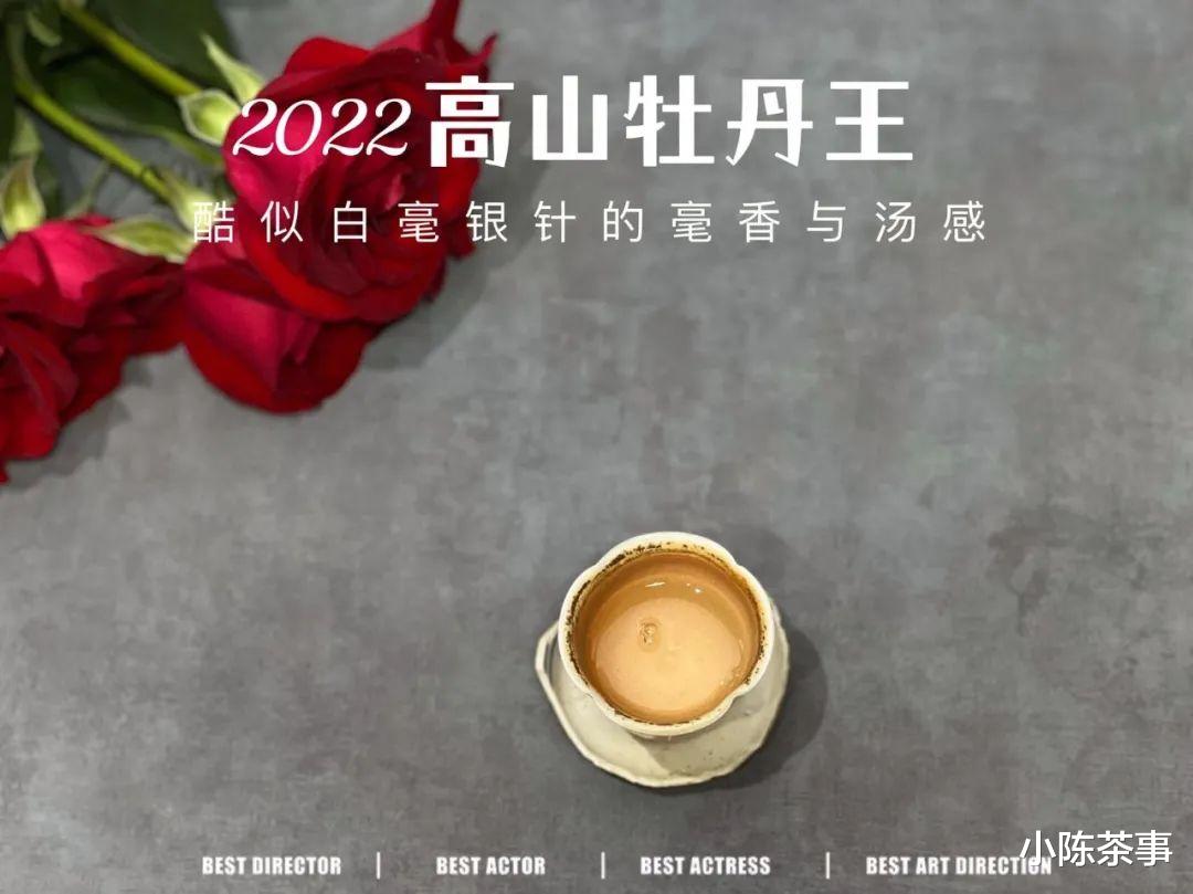 碱性食物|喝茶需要很专业吗？普通茶客喝茶，到底需要了解哪些干货？