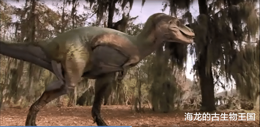 阿尔伯特龙是如何捕猎的?