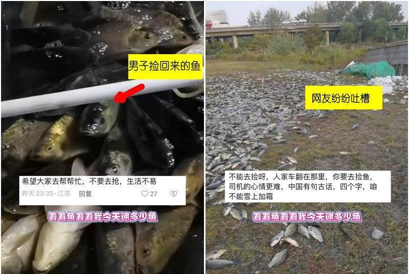 运鱼车翻了,草地上都是“大板鲫”,男子捡鱼回家遭吐槽