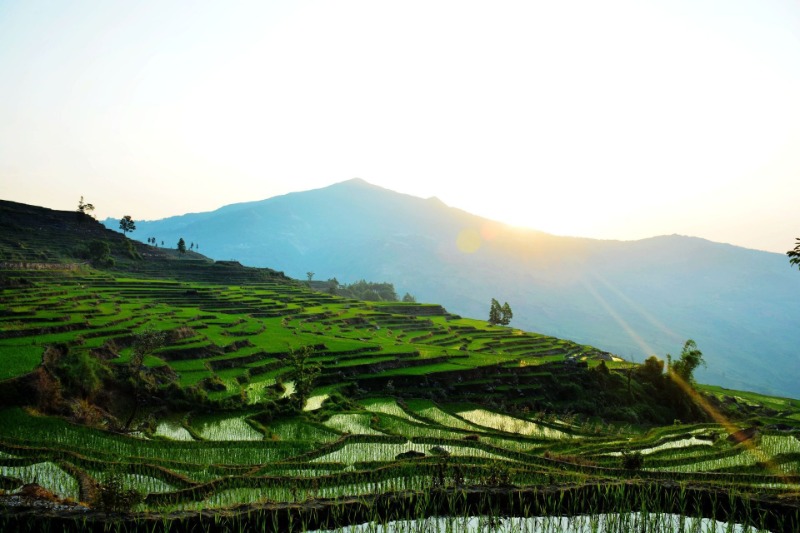 梯田|夏日“凉”方:热热热!有一种避暑叫躲进山里住