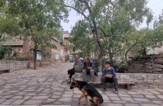 老年“性交易”,正在农村悄悄进行,网友:请正视老人的需求