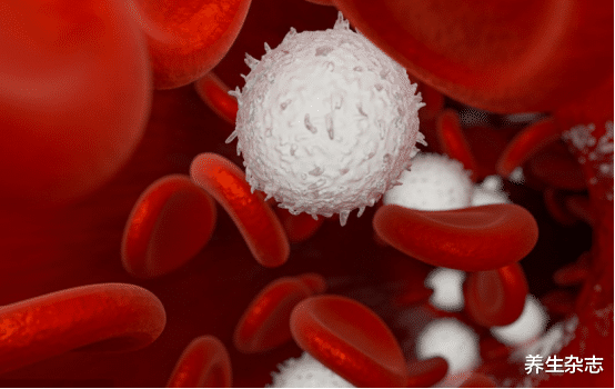 脑梗|血液干净的人,一般会有3个特征,若你全占,血管健康脑梗不敢来扰