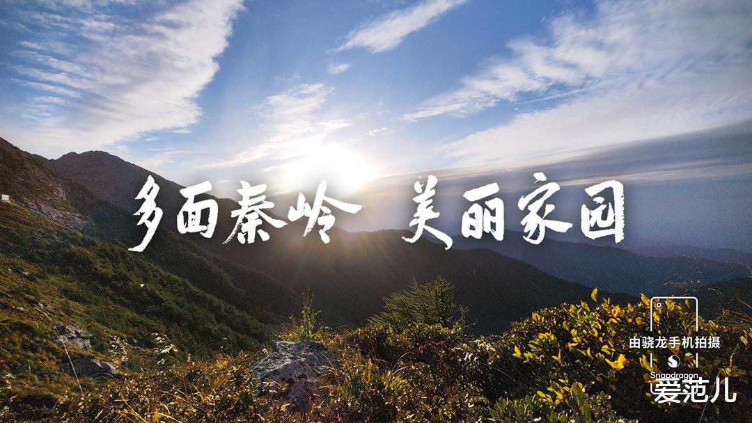 处于地远山险的瑰丽物种,其实就在你「身边」