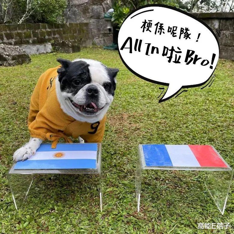 周星驰|猜中阿根廷队战胜法国队，周星驰的爱犬也要加入预测帝队伍吗？