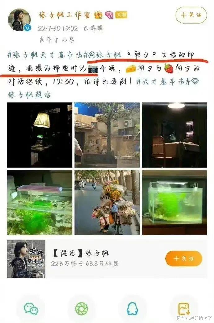 张子枫|张子枫人设又翻车?网友:“国民妹妹”的滤镜碎一地